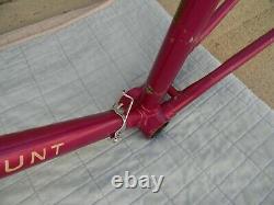 1965 Schwinn Paramount Frameset 25 Inch Campagnolo Record Parts Vintage Bicycle