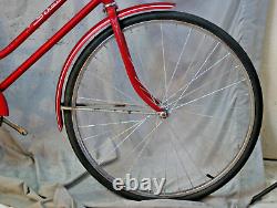 1969 Schwinn Breeze Vintage Cruiser Bike X-Small 48cm SS Hub Steel USA Shipper