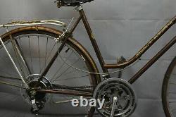 1970 Schwinn Suburban Vintage Cruiser Bike 50cm Small Brown Steel USA Charity