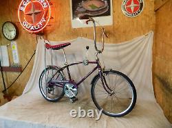 1973 Schwinn Fastback Stingray 5-speed Muscle Bike Krate Vintage Violet/purple