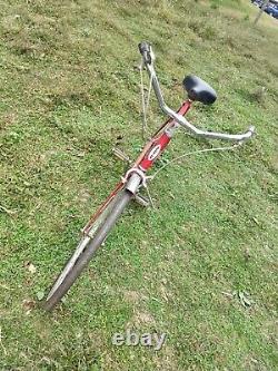 1975 Schwinn Speedster 3-speed Mens Vintage Bike