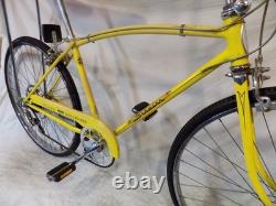 1975 Schwinn Stingray Manta Ray 5-speed Fastback Collegiate Sport Vintage Bike