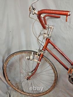 1976 Schwinn Continental Vintage Cruiser Bike XSmall 48cm Steel Fast USA Shipper