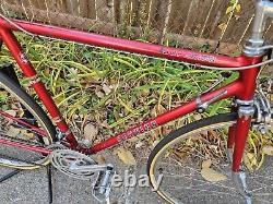 1976 Schwinn Superior bike, 10 speed, 56 cm, 22 frame, Cr-Mo Hand-brazed, used