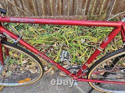 1976 Schwinn Superior bike, 10 speed, 56 cm, 22 frame, Cr-Mo Hand-brazed, used