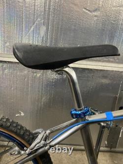 1980 Schwinn Sting Competition Survivor