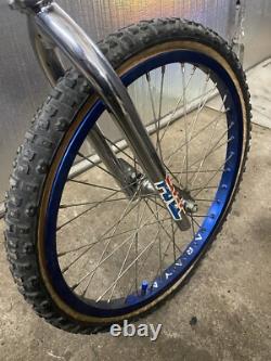 1980 Schwinn Sting Competition Survivor