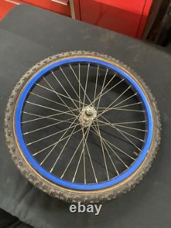 1980 Schwinn Sting Competition Survivor