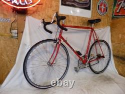 1980s TREK 400 TALL MENS VINTAGE 10-SPEED ROAD BIKE PEUGEOT GIANT SCHWINN JAPAN