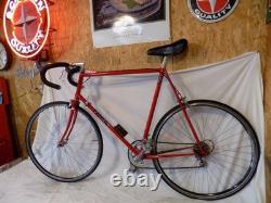 1980s TREK 400 TALL MENS VINTAGE 10-SPEED ROAD BIKE PEUGEOT GIANT SCHWINN JAPAN