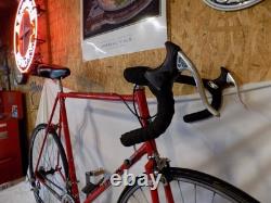 1980s TREK 400 TALL MENS VINTAGE 10-SPEED ROAD BIKE PEUGEOT GIANT SCHWINN JAPAN