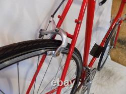 1980s TREK 400 TALL MENS VINTAGE 10-SPEED ROAD BIKE PEUGEOT GIANT SCHWINN JAPAN