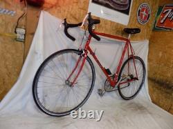 1980s TREK 400 TALL MENS VINTAGE 10-SPEED ROAD BIKE PEUGEOT GIANT SCHWINN JAPAN