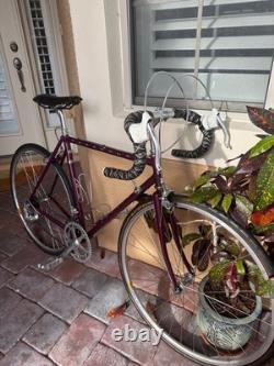 1987 Vintage Schwinn Paramount 52cm