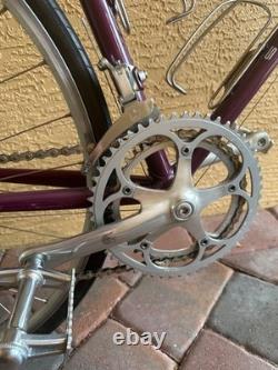1987 Vintage Schwinn Paramount 52cm