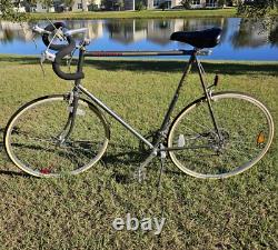 1988 29 Schwinn World Sport Mens 12 Speed Vintage Bike