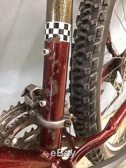 1998 Schwinn Homegrown Factory Team Bicycle Rare Vintage