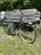 Antique 1950s Schwinn Bicycle Chicago Built Bike Vintage
