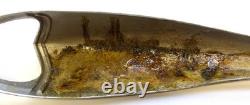 Antique original Schwinn Phantom B6 vintage bicycle FENDER LIGHT original BLACK