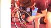 Cycling Tip How To Replace A Brake Cable On A Vintage Road Bike