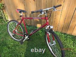 Excellent Vintage Schwinn Mesa MTN Bicycle -Ready to Ride with V Brakes Large