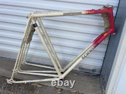 NOS Schwinn WORLD Lugged Vintage Steel Frame 10 Speed ROAD BIKE NEW CRO-MOLY