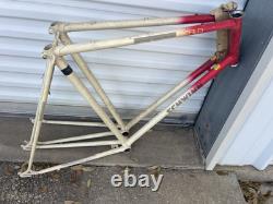 NOS Schwinn WORLD Lugged Vintage Steel Frame 10 Speed ROAD BIKE NEW CRO-MOLY