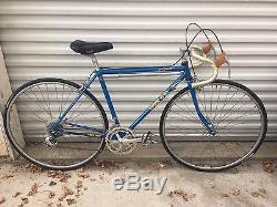 RARE Vintage 1984 Trek 610 600 Sport Touring Bike USA 19 Small Reynolds 50cm 48