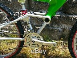 Rare Vintage 1999 Schwinn S-30 Carbon Mountain Bike MTB Green 17 Homegrown