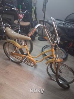 Schwinn Fair Lady Vintage Bicycle
