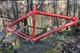 Schwinn Homegrown Vintage Mountain Bike Frame 19 Large Tomato Red 1996 Mtb