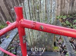 Schwinn Homegrown Vintage Mountain Bike Frame 19 Large Tomato Red 1996 Mtb
