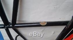 Schwinn Panther Straight Bar 1952 Original Don't See Any Touch Up Good Vintage