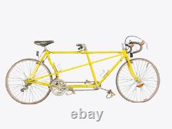 Schwinn Paramount Tandem Vintage 53.5/53.5 AS IS