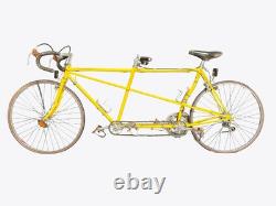 Schwinn Paramount Tandem Vintage 53.5/53.5 AS IS