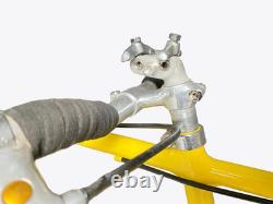 Schwinn Paramount Tandem Vintage 53.5/53.5 AS IS