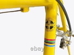 Schwinn Paramount Tandem Vintage 53.5/53.5 AS IS