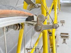 Schwinn Paramount Tandem Vintage 53.5/53.5 AS IS