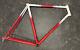 Schwinn Prologue Tange Prestige Lugged Vintage Steel Frame