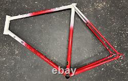 Schwinn Prologue Tange Prestige Lugged Vintage Steel Frame