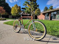 Schwinn Sidewinder 10 Speed Vintage Mountain Bike