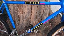 Schwinn Sierra 4130 Chrome Moly Vintage Mountain bike 20 Frame 1988