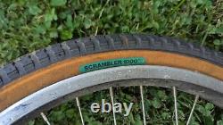 Schwinn Thrasher 20 1983 Mens Boys Dirt Bike BMX Bicycle Vintage OG Old School