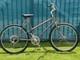 Schwinn Vintage Bike