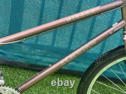 Schwinn Vintage Bike