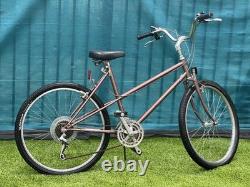 Schwinn Vintage Bike
