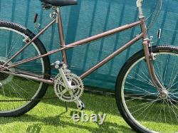 Schwinn Vintage Bike