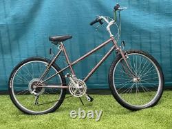 Schwinn Vintage Bike