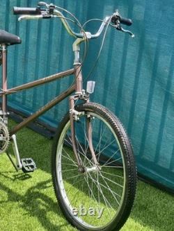 Schwinn Vintage Bike