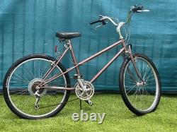 Schwinn Vintage Bike
